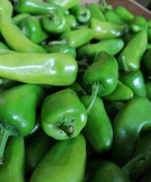 Bullet Chillies