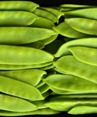 Mange Tout